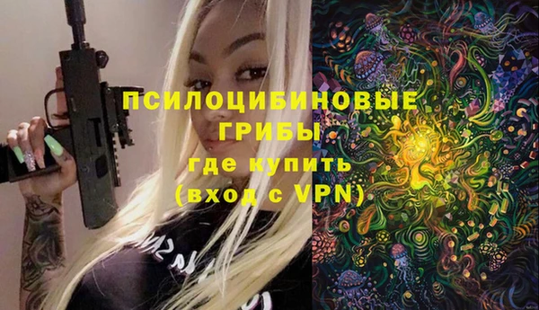ешки Алексеевка