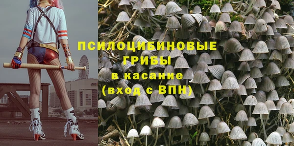ешки Алексеевка
