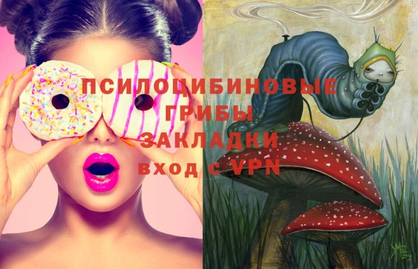 ешки Алексеевка