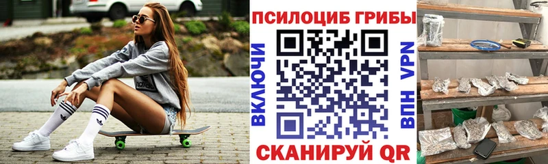 купить наркотик  сайты даркнета официальный сайт  Псилоцибиновые грибы мухоморы  Заполярный 