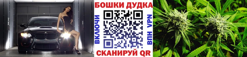Конопля SATIVA & INDICA  купить наркотики цена  Заполярный 